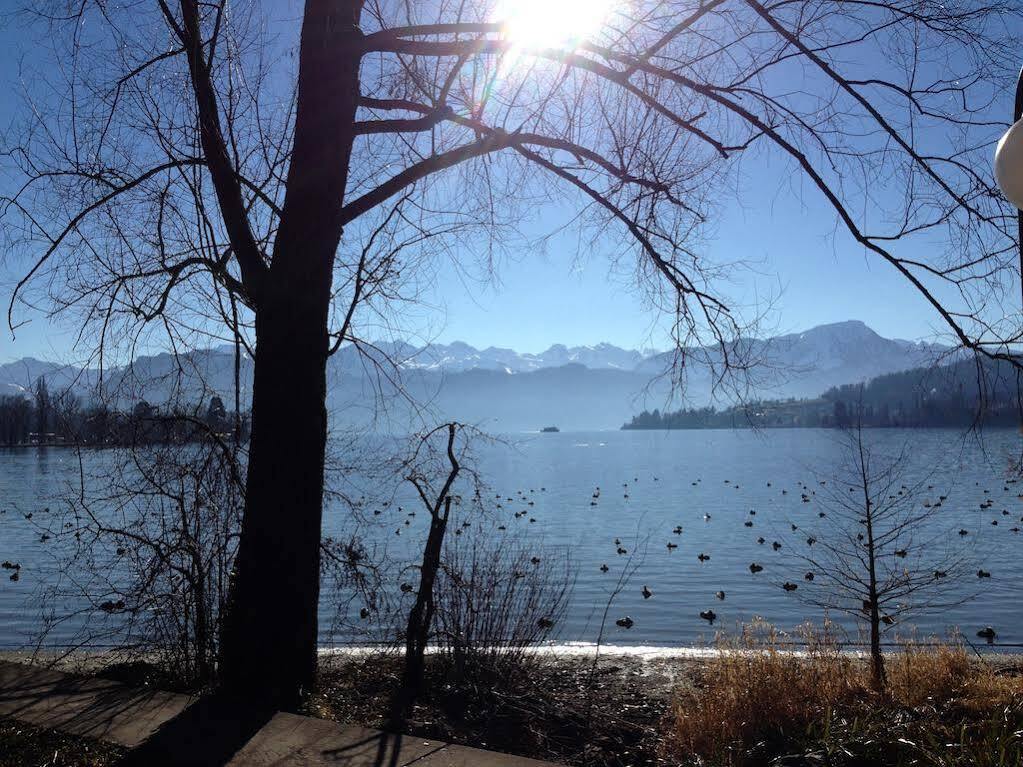 Villa Maria Luzern Exterior foto